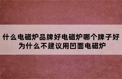 什么电磁炉品牌好电磁炉哪个牌子好 为什么不建议用凹面电磁炉